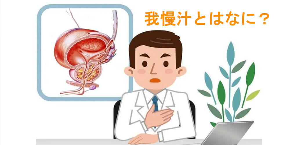 我慢汁とはなに？その役割と精液との違い、我慢汁と妊娠の関係、我慢汁での妊娠の防ぎ方